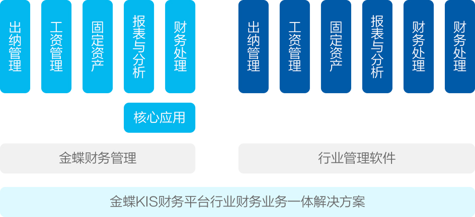 金蝶KIS账务平台 cw jg