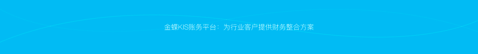金蝶KIS账务平台 cw mid banner